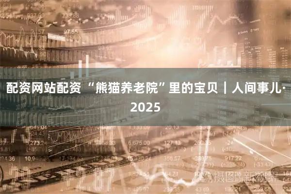 配资网站配资 “熊猫养老院”里的宝贝｜人间事儿·2025