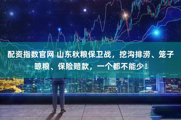 配资指数官网 山东秋粮保卫战，挖沟排涝、笼子晾粮、保险赔款，一个都不能少！