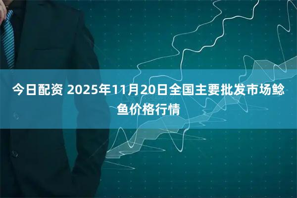 今日配资 2025年11月20日全国主要批发市场鲶鱼价格行情