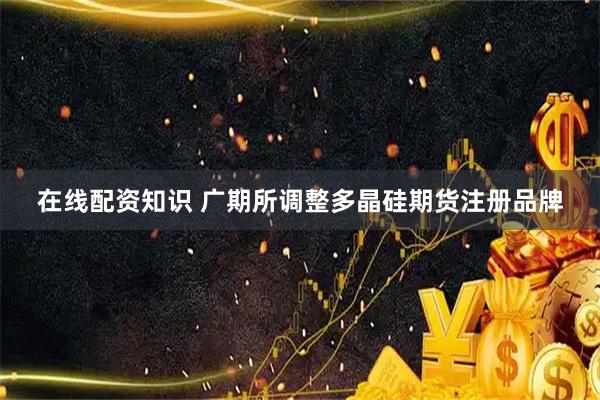 在线配资知识 广期所调整多晶硅期货注册品牌