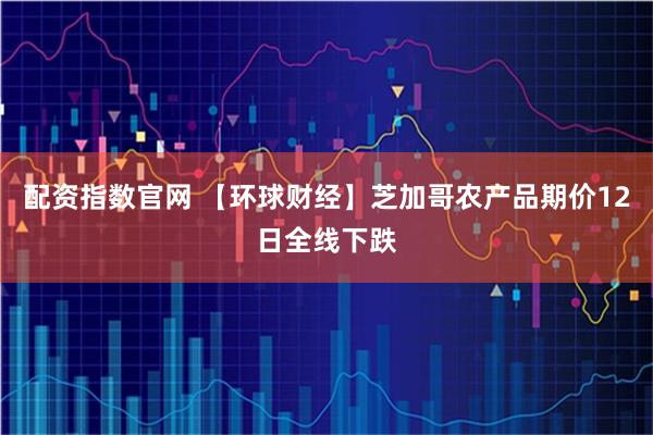 配资指数官网 【环球财经】芝加哥农产品期价12日全线下跌