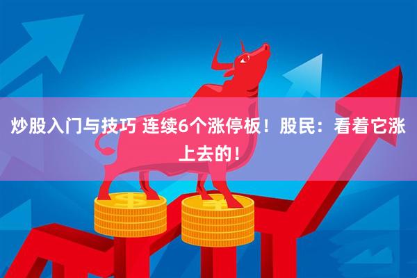 炒股入门与技巧 连续6个涨停板！股民：看着它涨上去的！