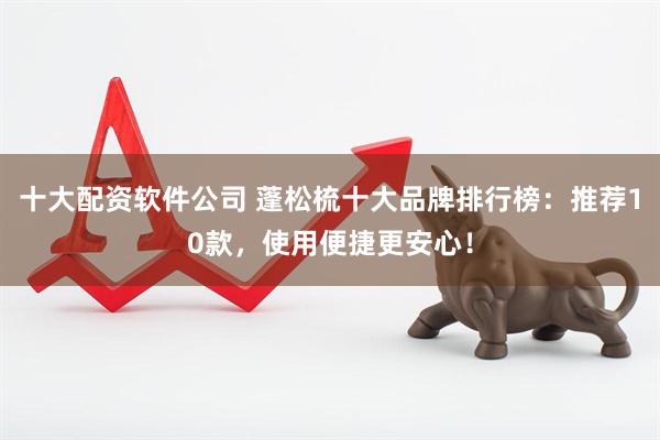 十大配资软件公司 蓬松梳十大品牌排行榜：推荐10款，使用便捷更安心！